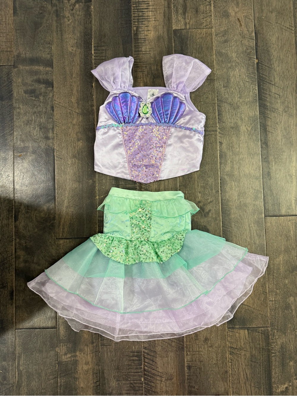Disney Ariel costume